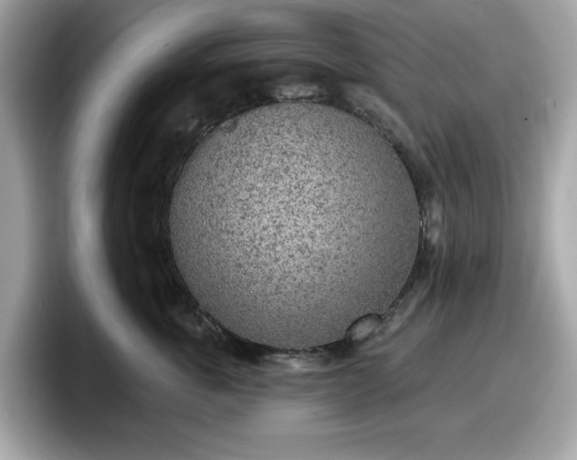 X0000098110763200804111055