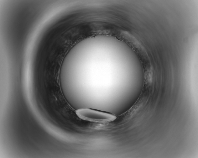 X0000098110764200804111055