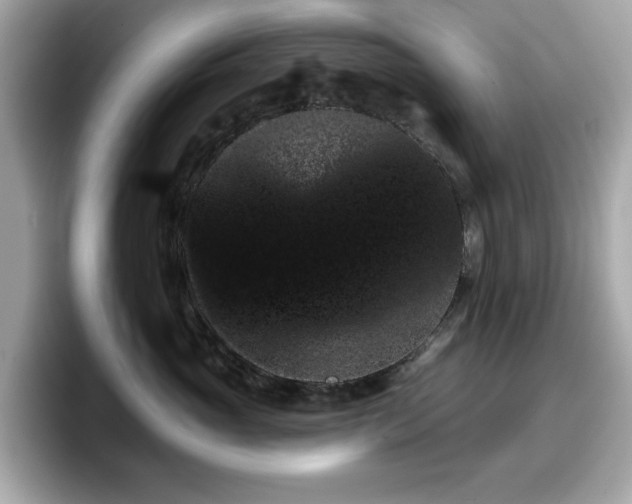 X0000098110765200804111055