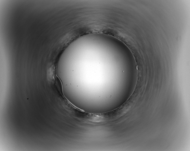 X0000098110768200804111055