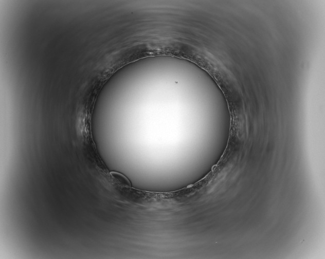 X0000098110770200804111054