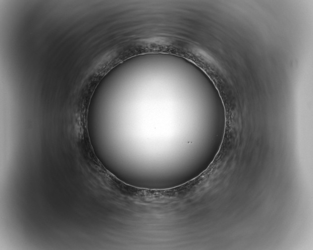 X0000098110774200804111054