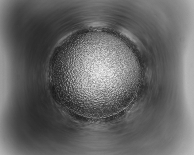 X0000098110775200804111054