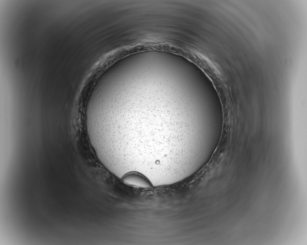 X0000098110776200804111054