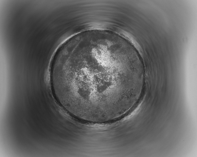 X0000098110779200804111054
