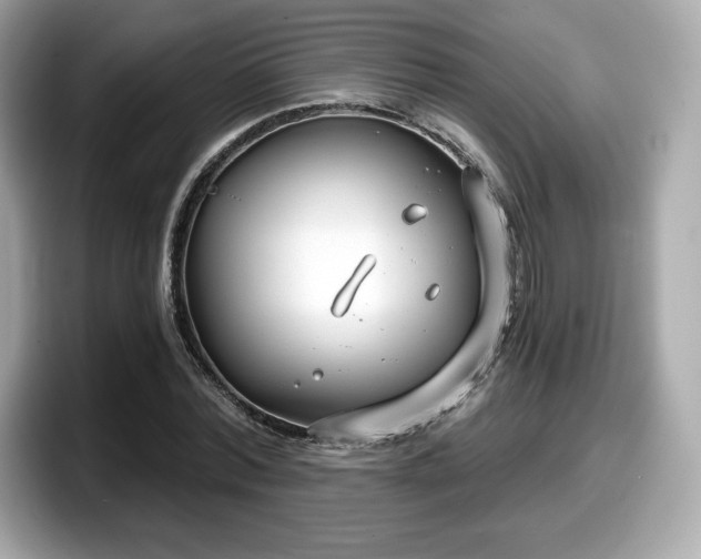X0000098110780200804111054