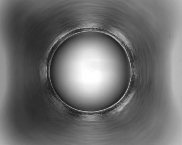 X0000098110781200804111054