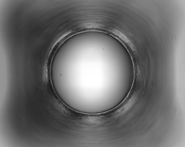 X0000098110782200804111054