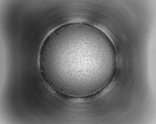 X0000098110783200804111054