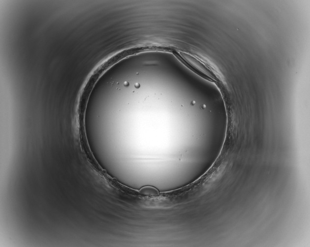 X0000098110784200804111054