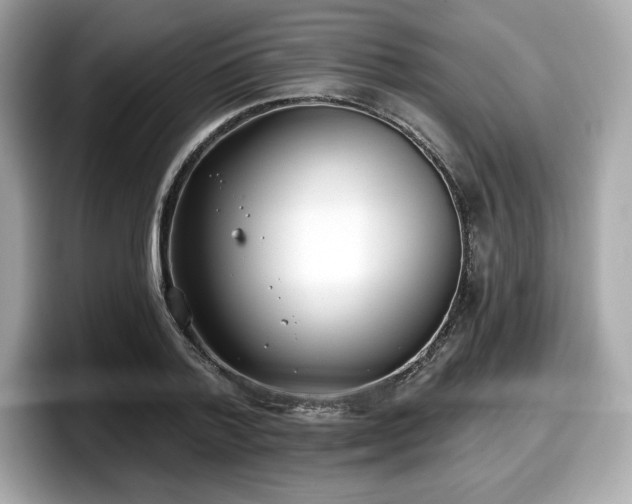 X0000098110788200804111054