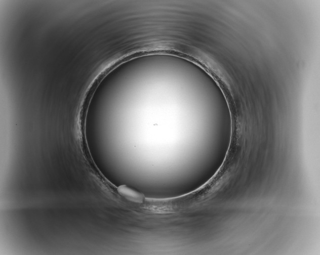 X0000098110789200804111054