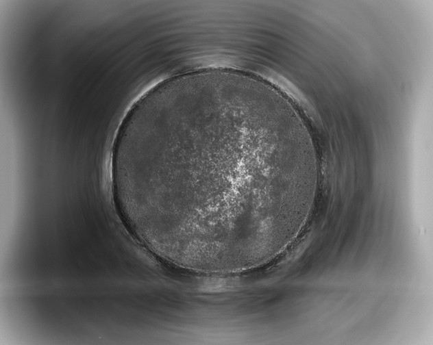 X0000098110790200804111054