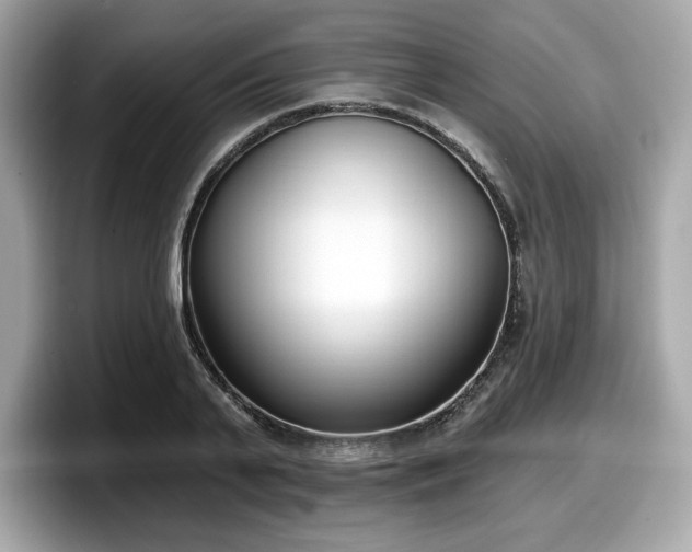 X0000098110791200804111054