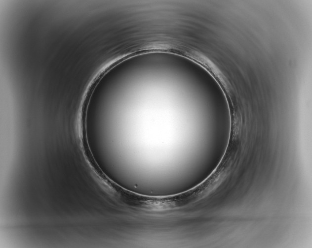 X0000098110795200804111054