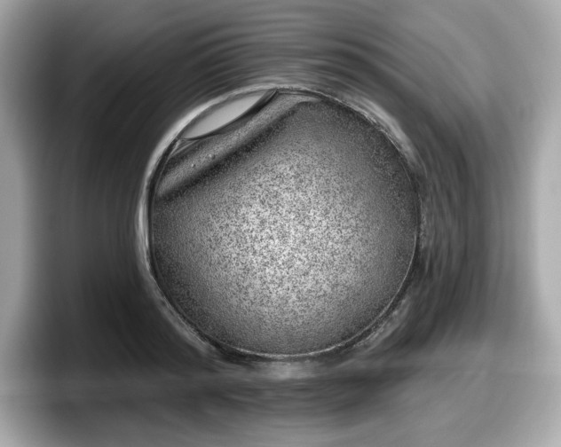 X0000098110796200804111054