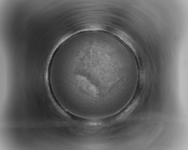 X0000098110797200804111054