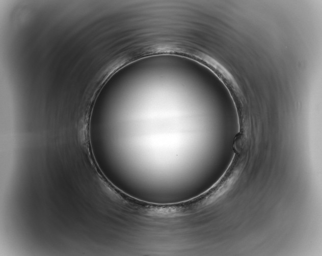 X0000098110801200804111054