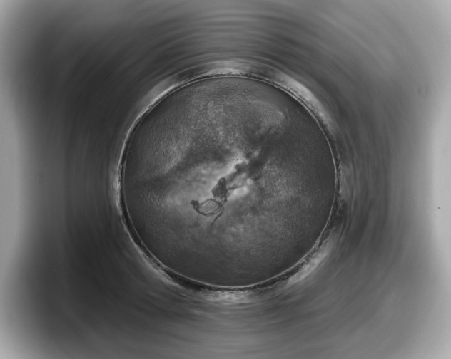 X0000098110802200804111054