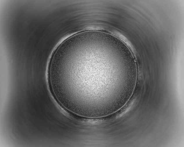X0000098110803200804111054
