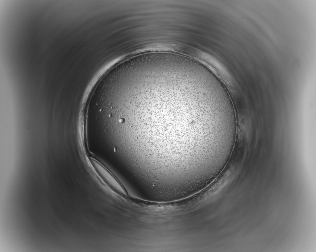 X0000098110804200804111054