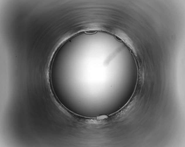 X0000098110805200804111054