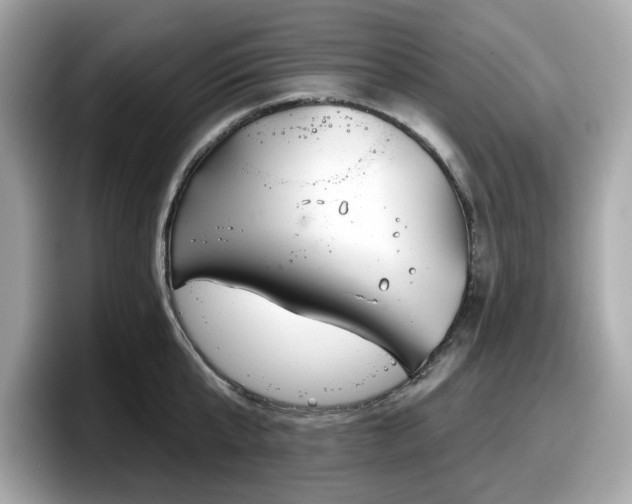 X0000098110807200804111054