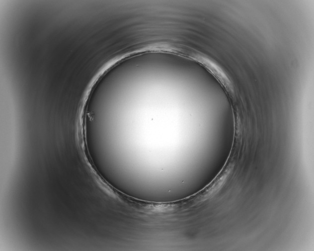 X0000098110808200804111054