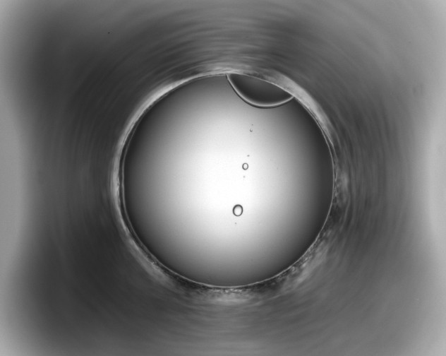 X0000098110811200804111054