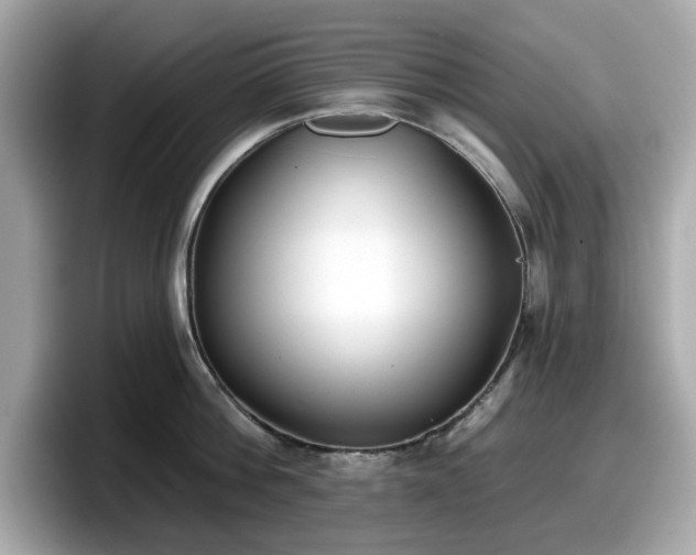 X0000098110812200804111054