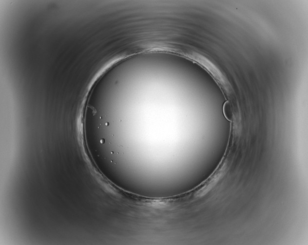 X0000098110814200804111054