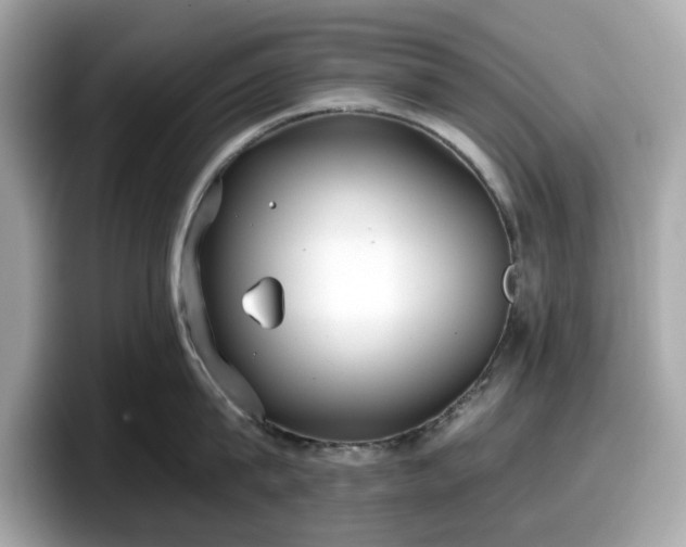 X0000098110815200804111054