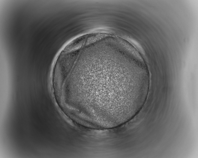 X0000098110816200804111054