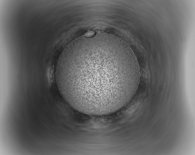 X0000098110818200804111053