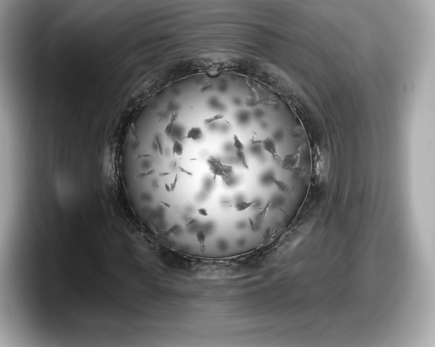 X0000098110819200804111053