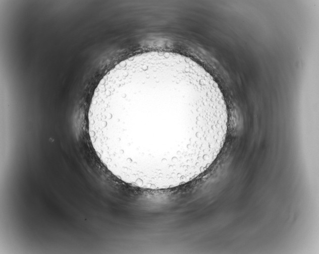 X0000098110820200804111053