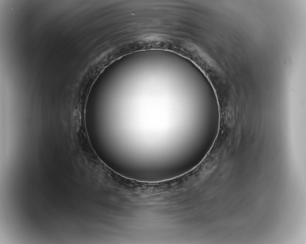 X0000098110821200804111053