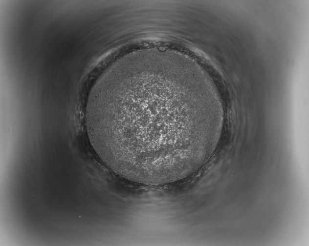 X0000098110822200804111053