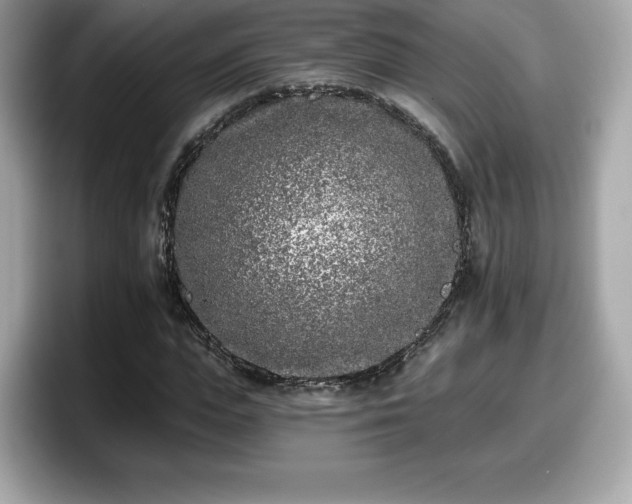 X0000098110823200804111053