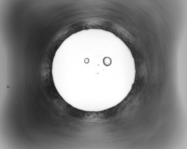 X0000098110824200804111053