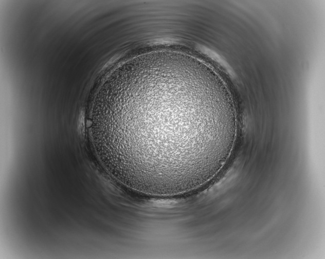 X0000098110825200804111053