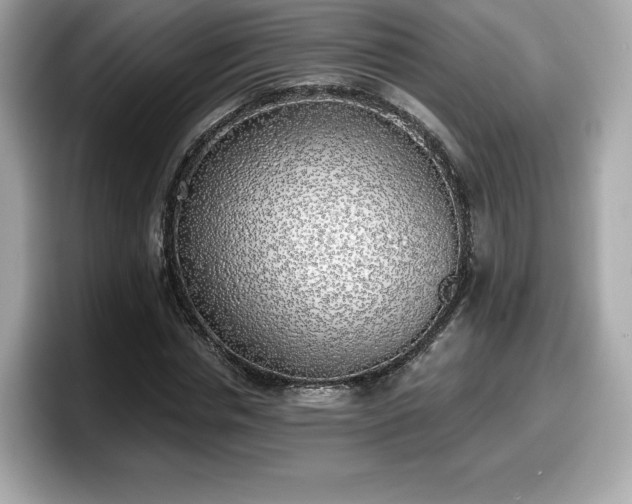 X0000098110826200804111053