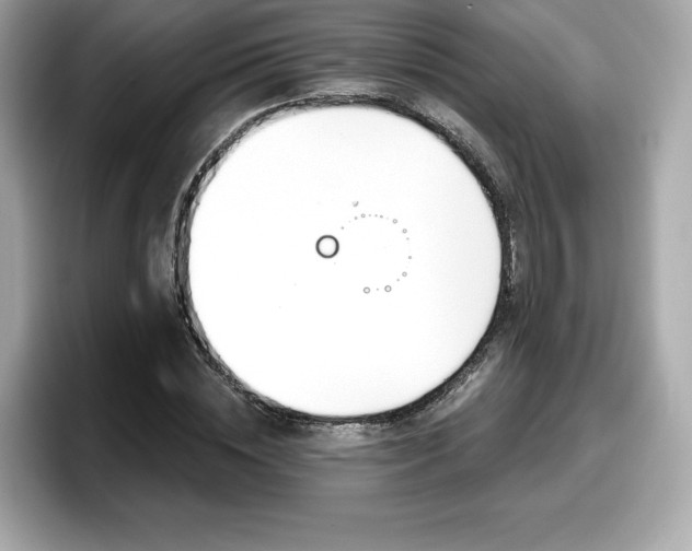 X0000098110828200804111053