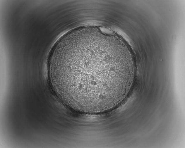 X0000098110829200804111053