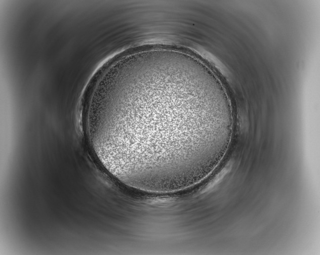 X0000098110830200804111053