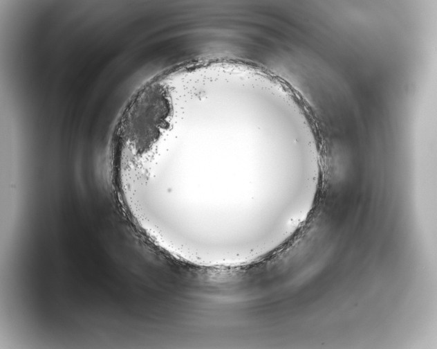 X0000098110832200804111053