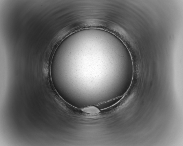 X0000098110833200804111053