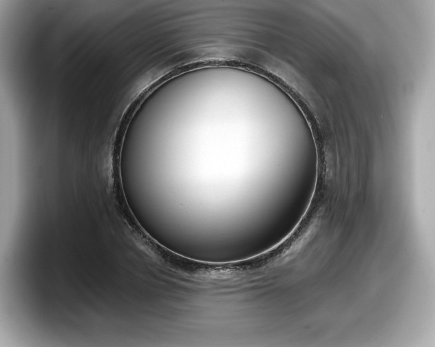X0000098110834200804111053