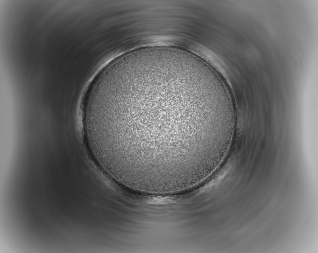X0000098110835200804111053
