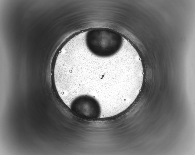 X0000098110836200804111053